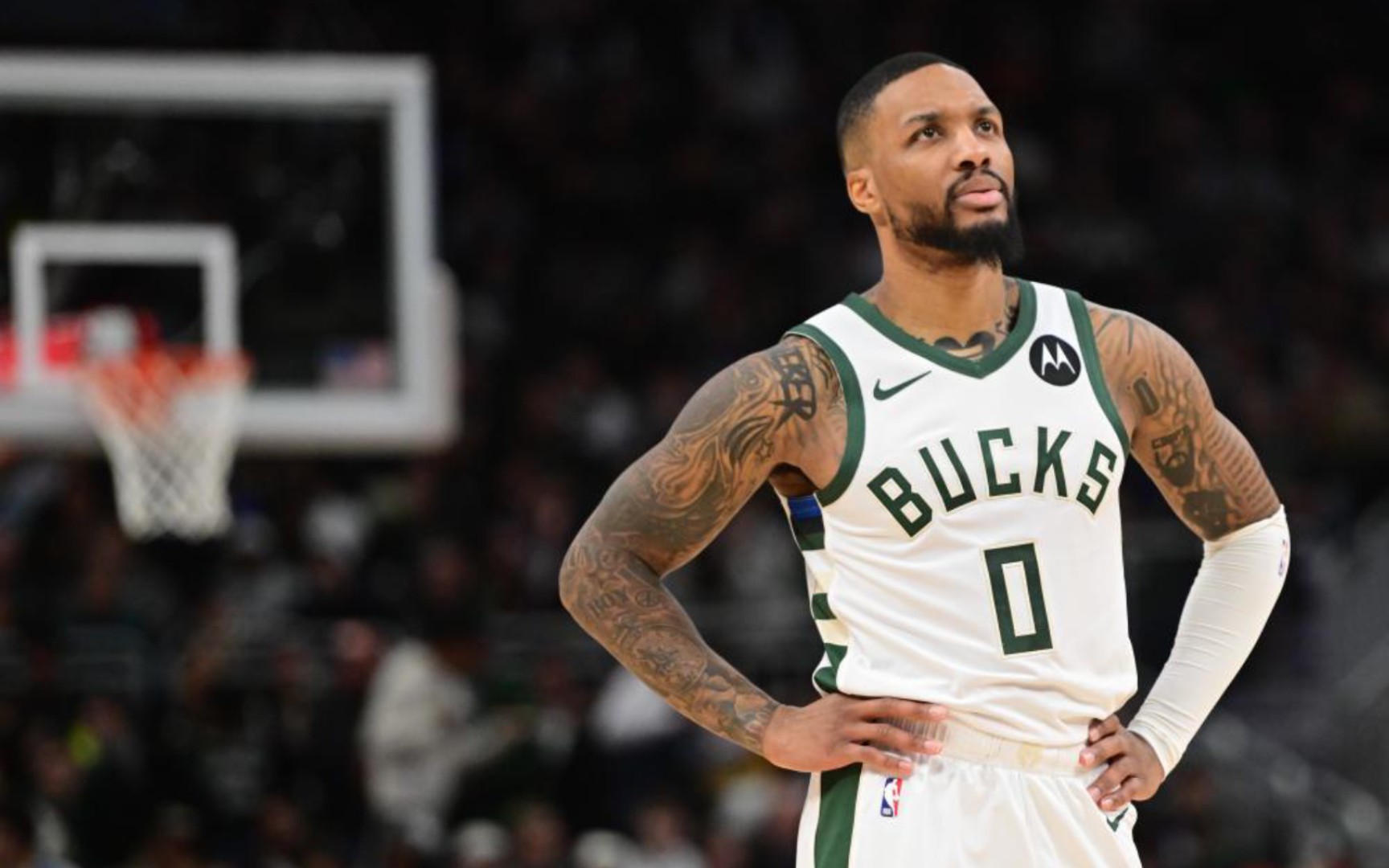 己的引援策 己的引援策